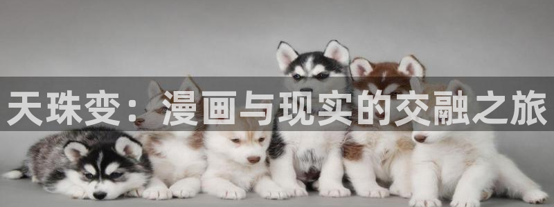 漫蛙漫画免费入口页面：天珠变：漫画与现实的交融之旅