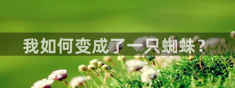漫蛙2韩漫正版下载：我如何变成了一只蜘蛛？