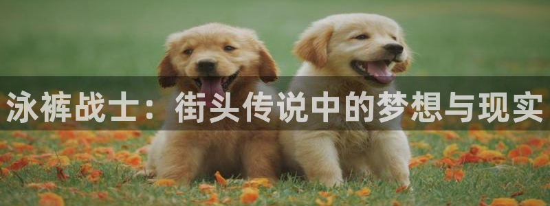 正版漫蛙漫画官网下载：泳裤战士：街头传说中的梦想与现实