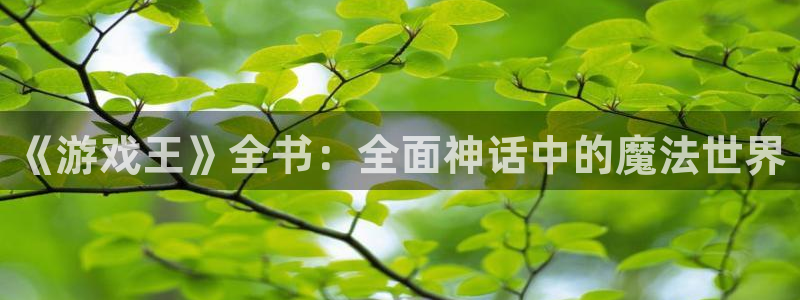 漫蛙漫画韩漫：《游戏王》全书：全面神话中的魔法世界