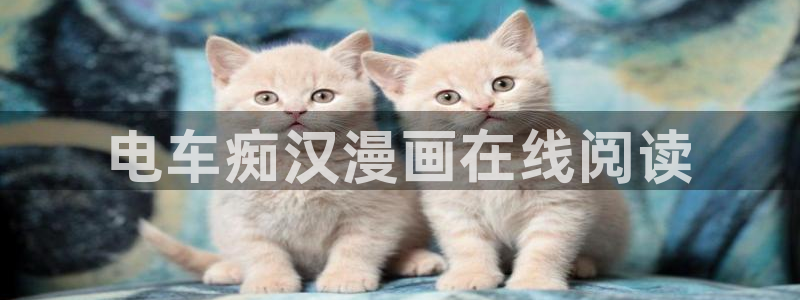 漫蛙(台版)入口韩漫：电车痴汉漫画在线阅读