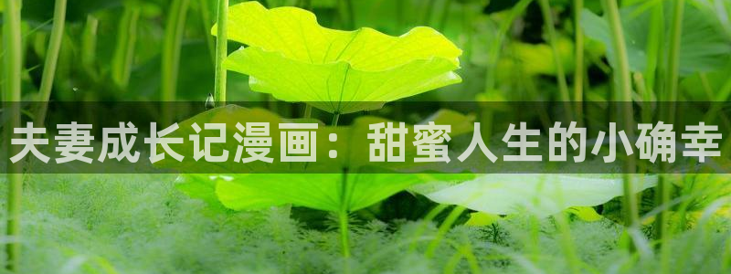 漫蛙 漫画网：夫妻成长记漫画：甜蜜人生的小确幸