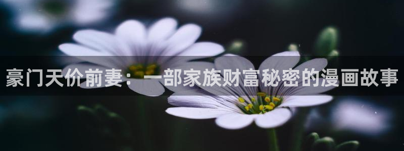 漫蛙pak2：豪门天价前妻：一部家族财富秘密的漫画故事