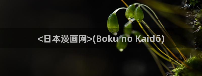 免费漫蛙2：<日本漫画网>(Boku no Kaidō)