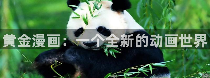 漫蛙manwa用户登录入口：黄金漫画：一个全新的动画世界