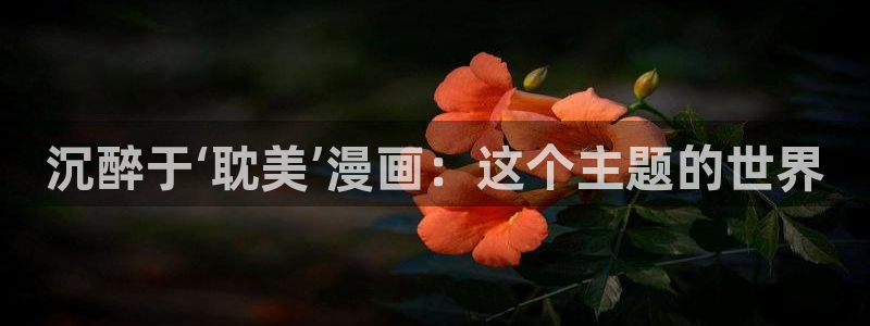 漫蛙是什么：沉醉于‘耽美’漫画：这个主题的世界