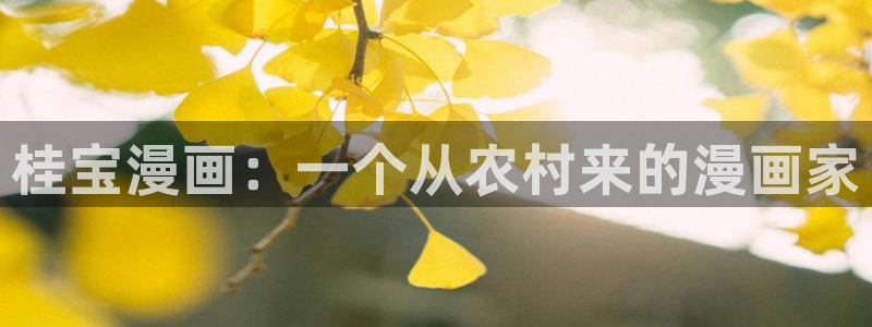 漫蛙长什么样：桂宝漫画：一个从农村来的漫画家