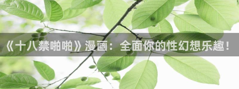 漫蛙漫画备用网址有哪些?：《十八禁啪啪》漫画：全面你的性幻想乐趣！
