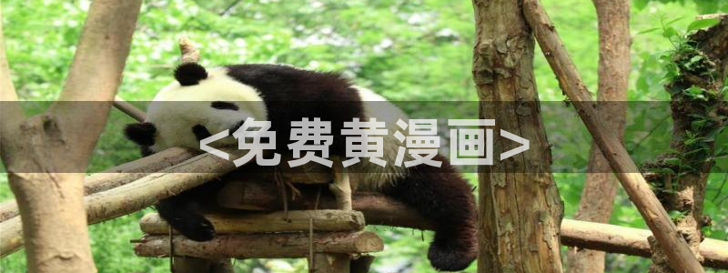 漫蛙漫画免费下载app网站：<免费黄漫画>