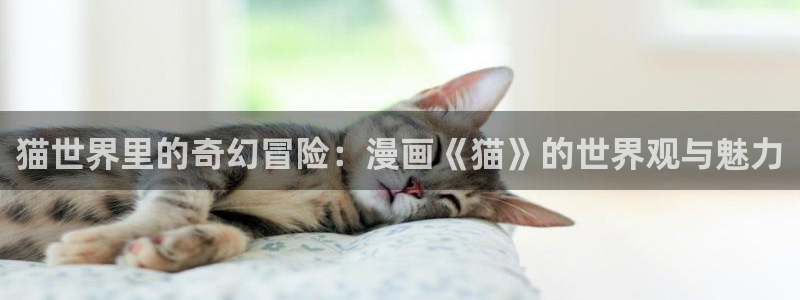 漫蛙漫画app免费下载：猫世界里的奇幻冒险：漫画《猫》的世界观与魅力