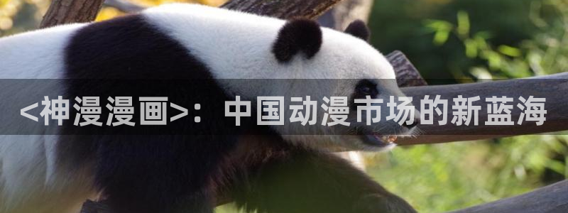 漫蛙2豆游网：<神漫漫画>：中国动漫市场的新蓝海