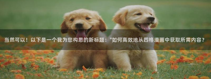 漫蛙 官网：当然可以！以下是一个我为您构思的新标题：\